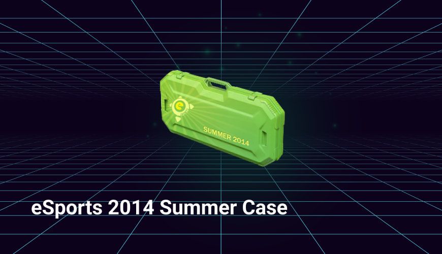 esports 2014 summer case