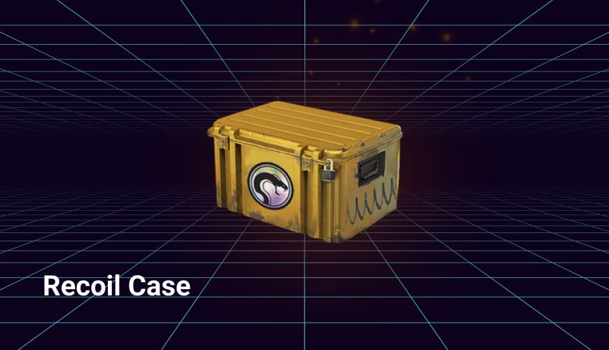 recoil weapon case
