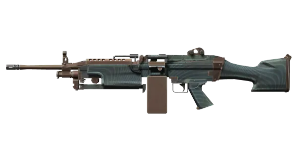 M249 | Submerged (Field-Tested)