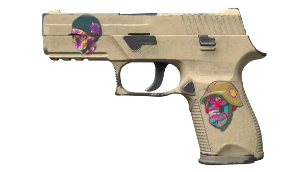 P250 | Sand Dune (Field-Tested)