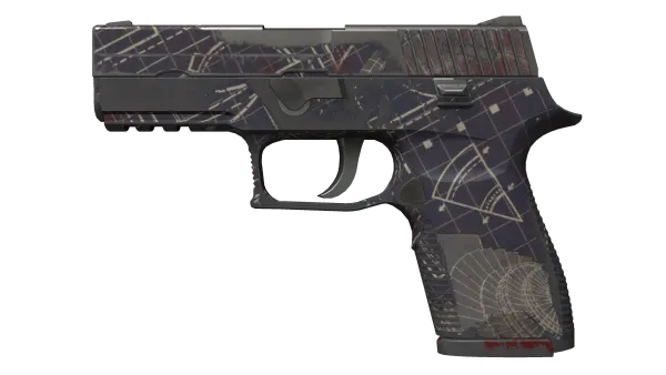 P250 | Facility Draft (Well-Worn)