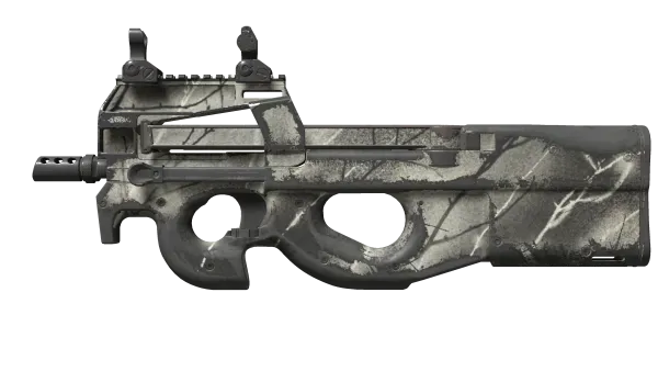 P90 | Ash Wood (Well-Worn)