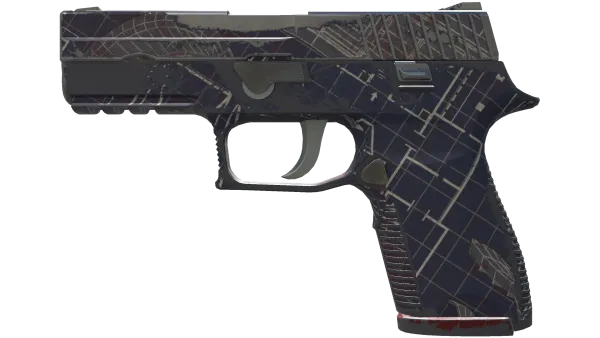 P250 | Facility Draft (Well-Worn)