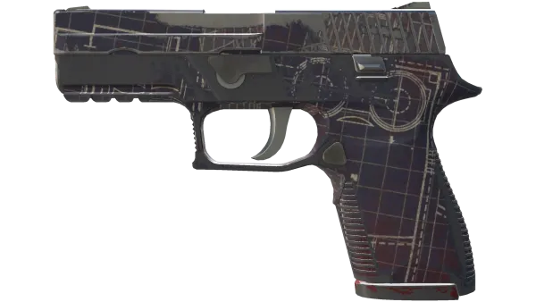 P250 | Facility Draft (Well-Worn)