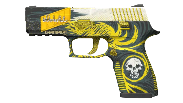 P250 | Wingshot (Well-Worn)