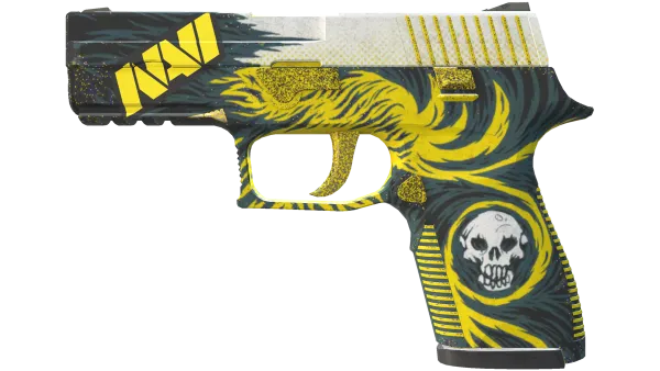 P250 | Wingshot (Well-Worn)