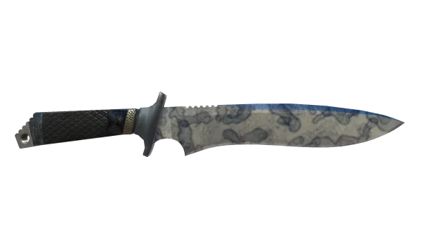 ★ Classic Knife | Stained (Minimal Wear)