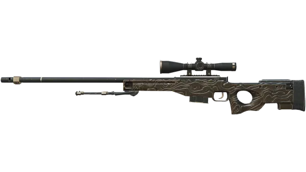 AWP | Black Nile (Well-Worn)