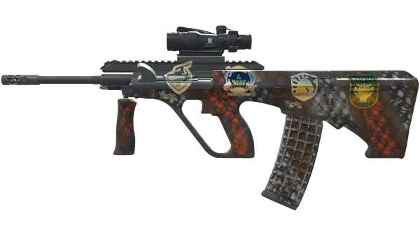 Souvenir AUG | Sweeper (Field-Tested)