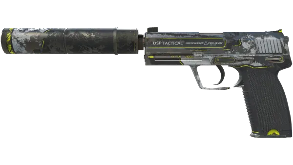 USP-S | Torque (Battle-Scarred)