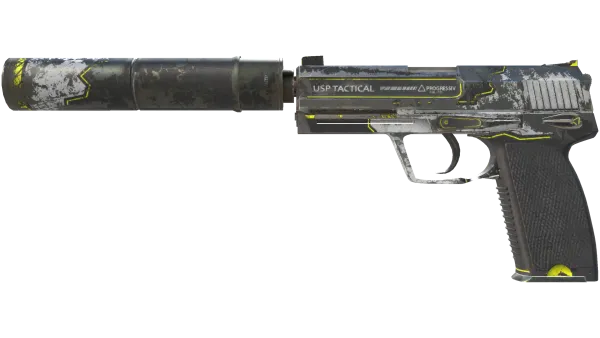 USP-S | Torque (Battle-Scarred)