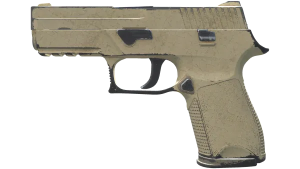 P250 | Sand Dune (Well-Worn)