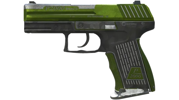 P2000 | Turf (Battle-Scarred)