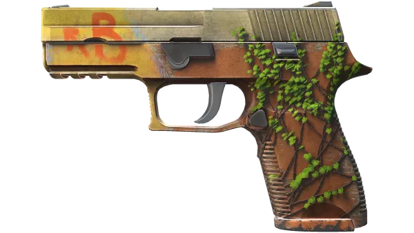 StatTrak™ P250 | Inferno (Field-Tested)