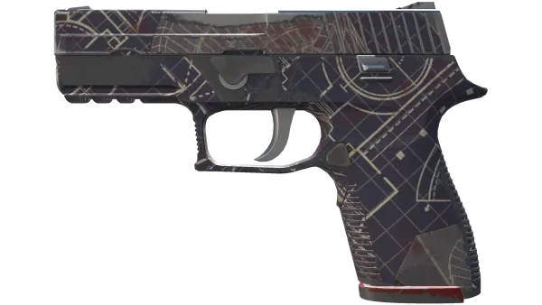 P250 | Facility Draft (Field-Tested)