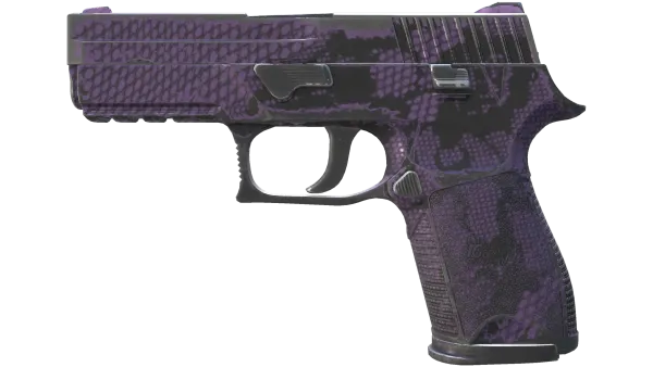 P250 | Plum Netting (Field-Tested)