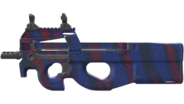 P90 | Teardown (Minimal Wear)