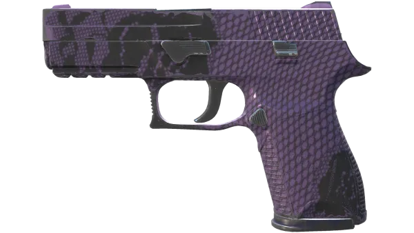 P250 | Plum Netting (Field-Tested)