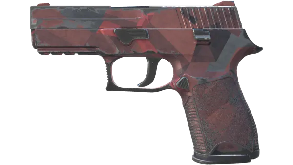 P250 | Constructivist (Field-Tested)