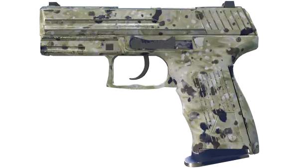 P2000 | Granite Marbleized (Minimal Wear)
