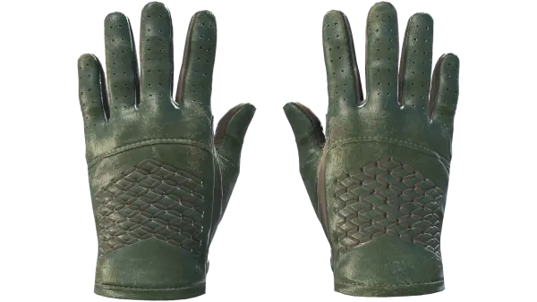 ★ Driver Gloves | Racing Green (Field-Tested)