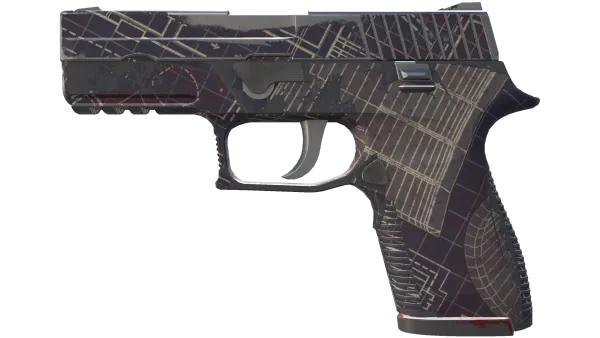 P250 | Facility Draft (Field-Tested)