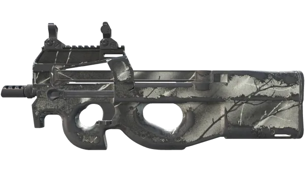 P90 | Ash Wood (Well-Worn)