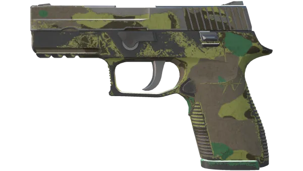 P250 | Boreal Forest (Well-Worn)