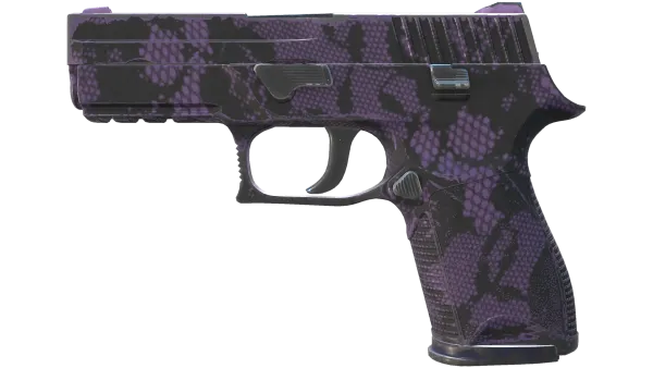 P250 | Plum Netting (Field-Tested)