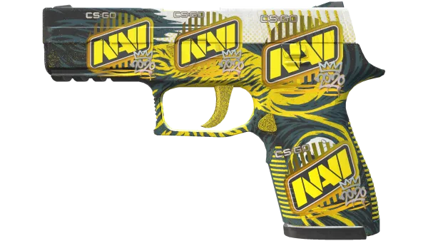 P250 | Wingshot (Field-Tested)