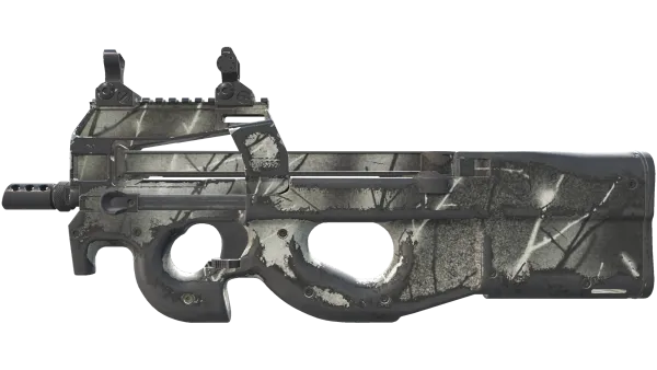 P90 | Ash Wood (Well-Worn)