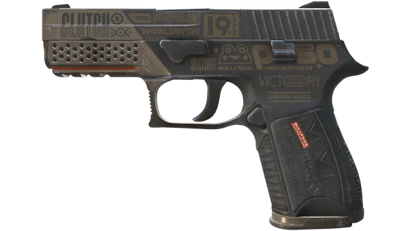 P250 | Bullfrog (Well-Worn)