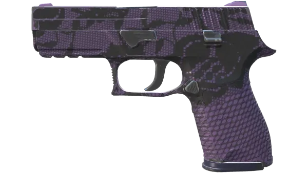 P250 | Plum Netting (Field-Tested)