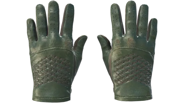 ★ Driver Gloves | Racing Green (Field-Tested)