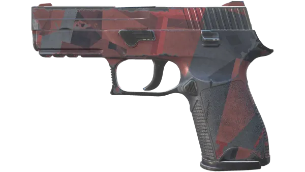 P250 | Constructivist (Field-Tested)