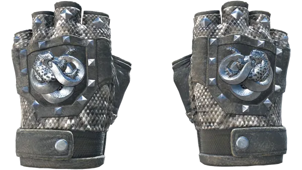 ★ Broken Fang Gloves | Unhinged (Well-Worn)
