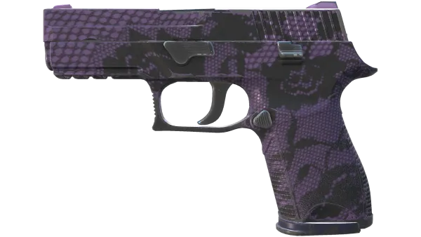 P250 | Plum Netting (Field-Tested)