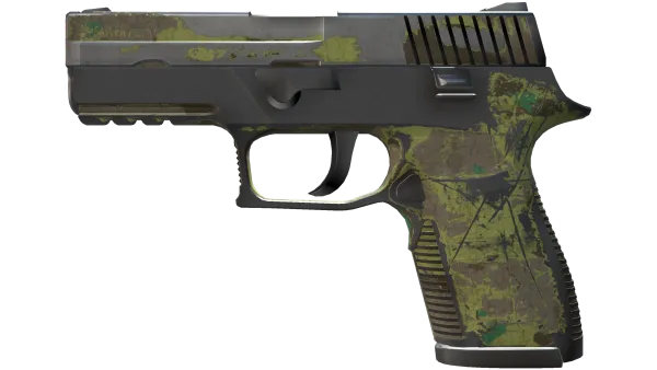 P250 | Boreal Forest (Battle-Scarred)