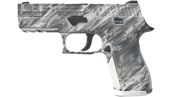 P250 | Sleet (Field-Tested)