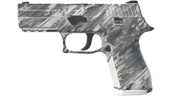 P250 | Sleet (Field-Tested)