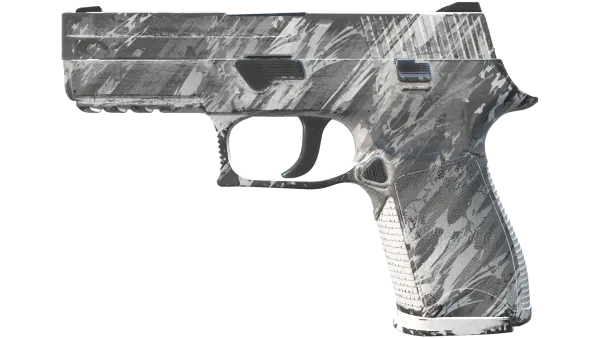 P250 | Sleet (Field-Tested)