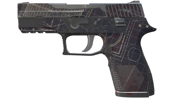 P250 | Facility Draft (Well-Worn)