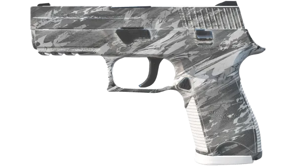 P250 | Sleet (Minimal Wear)