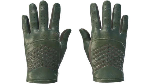 ★ Driver Gloves | Racing Green (Field-Tested)