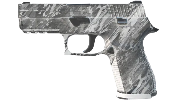 P250 | Sleet (Field-Tested)