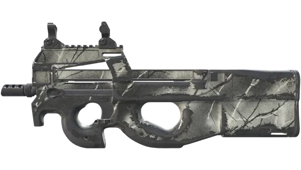 P90 | Ash Wood (Well-Worn)