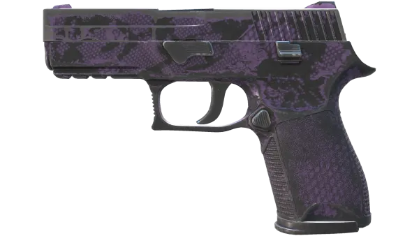 P250 | Plum Netting (Well-Worn)