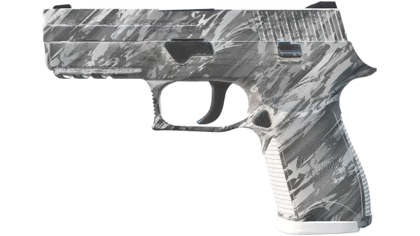 P250 | Sleet (Minimal Wear)
