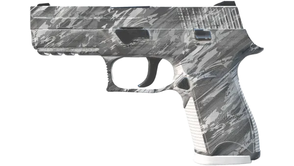 P250 | Sleet (Minimal Wear)