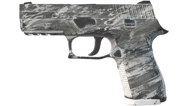 P250 | Sleet (Field-Tested)